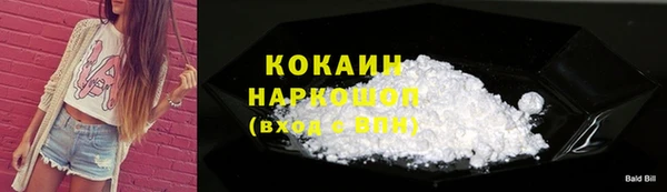 индика Абаза