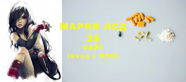 индика Абаза