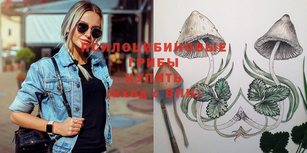 индика Абаза