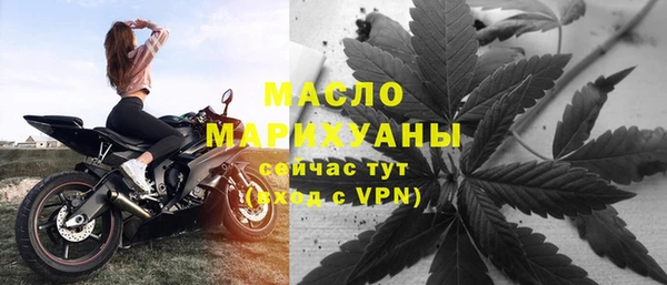 индика Абаза
