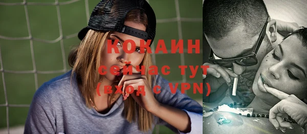 индика Абаза